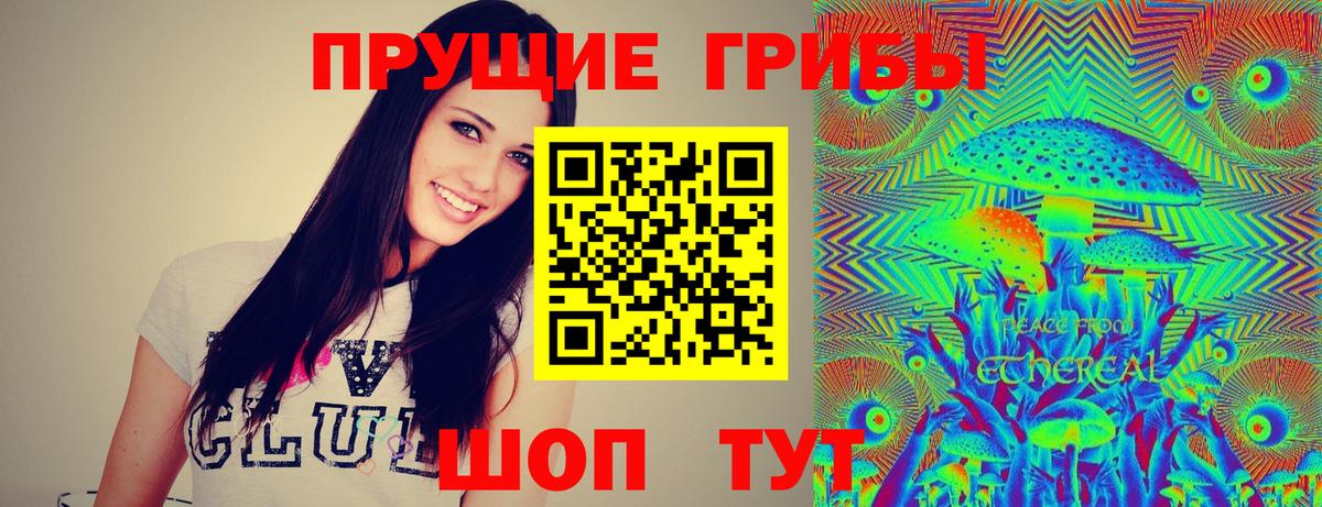Псилоцибиновые грибы мухоморы Норильск